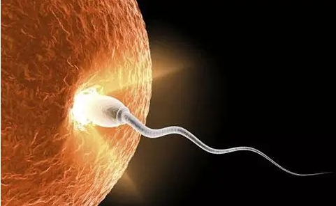 有高孕酮血症在国内和国外做试管分别要注意什么？