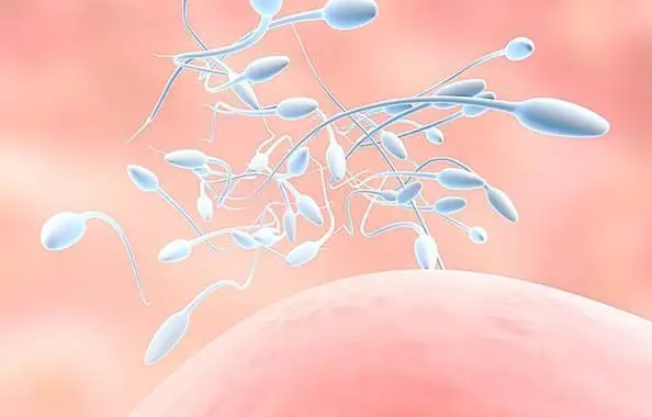 输卵管炎症可以生孩子吗?如何才能成功生育?