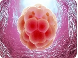 重度宫腔粘连还能生孩子吗?可以做试管吗?