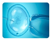 绝经了还能做试管移植冻胚吗?有什么风险?