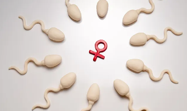 试管婴儿与人工受孕哪个好，从多个角度对比分析(图1)
