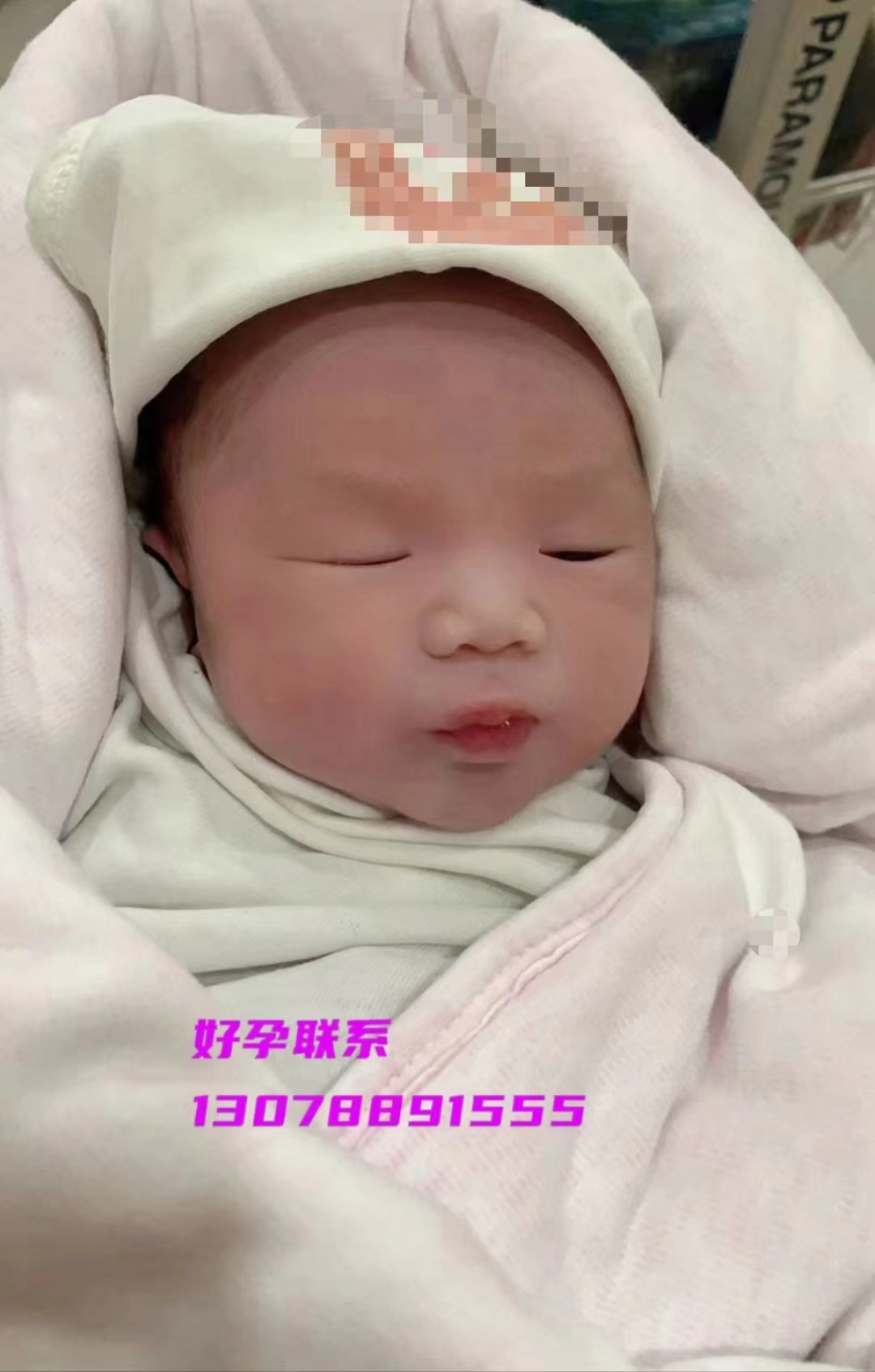 微信图片_202410101355501.jpg