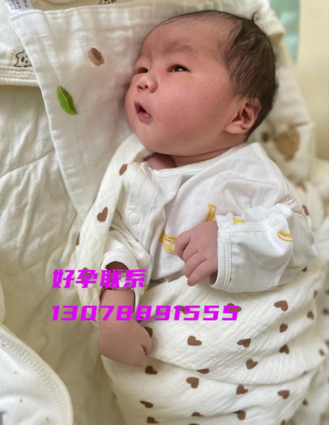 微信图片_202410101355522.jpg