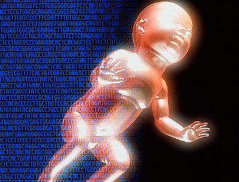 1-241025133459244.png