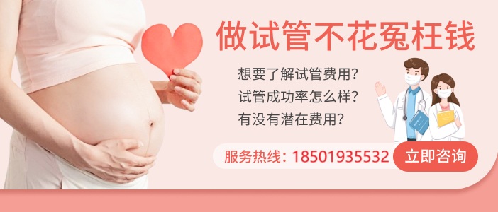 试管婴儿费用