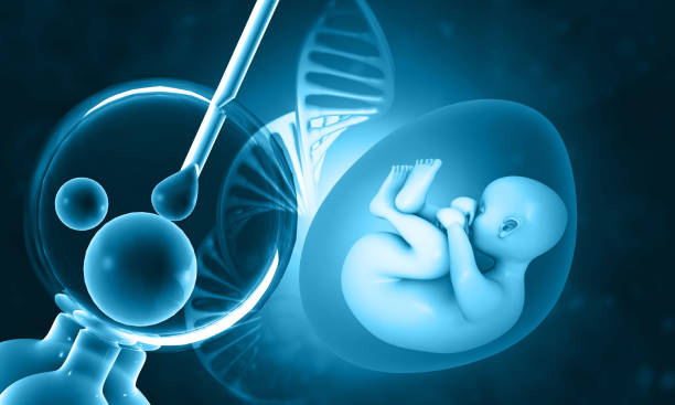 子宫切除能做试管婴儿吗？