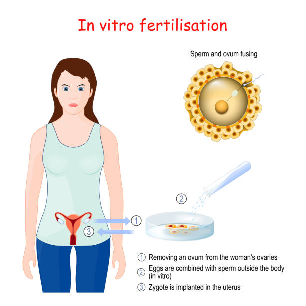 畸形精子症可以去做第三代试管吗？
