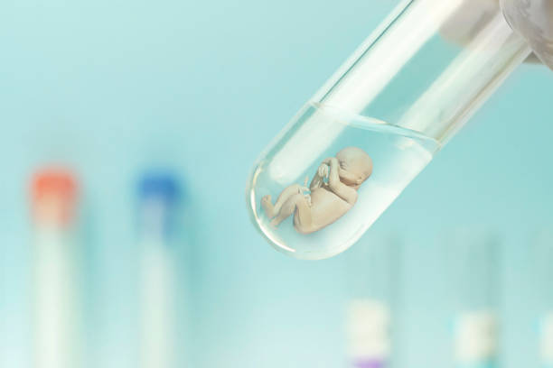 特纳综合征做泰国试管婴儿费用是多少？