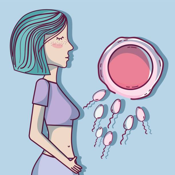子宫腺肌症在哪里做试管婴儿？