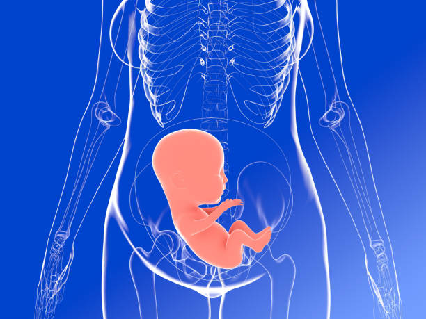子宫腺肌症在哪里做试管婴儿？
