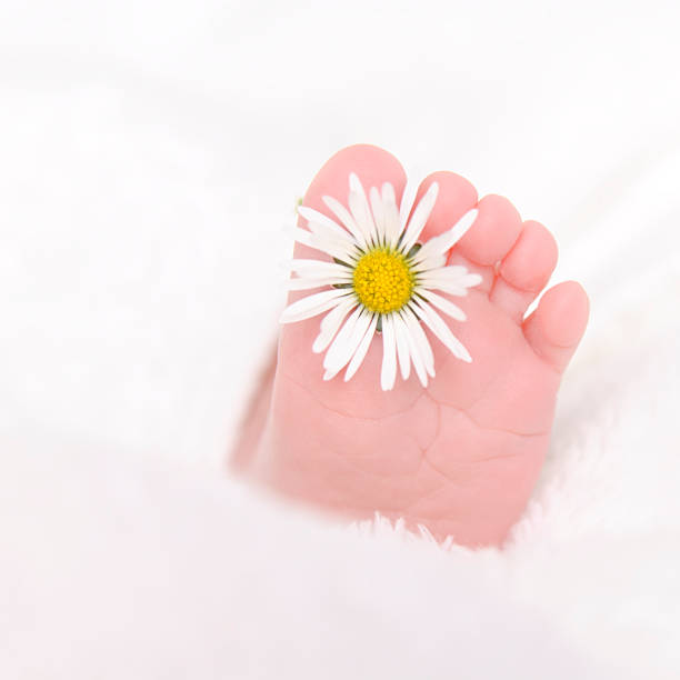 子宫发育不全可以做试管婴儿吗？
