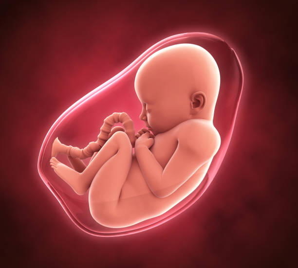 子宫肌腺症做试管婴儿价格是多少？