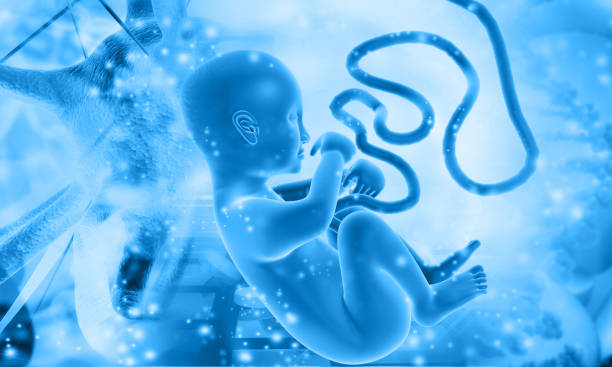 无精子症在哪里做三代试管婴儿？