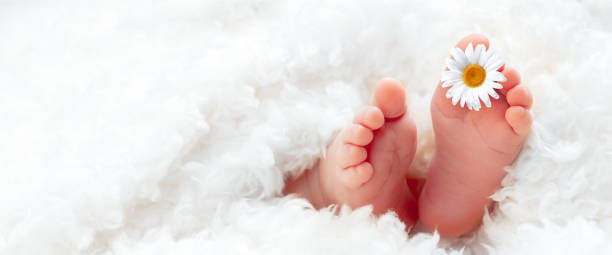 子宫腺肌症做泰国试管婴儿流程是什么样的？