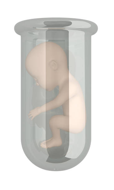 残角子宫可以去做试管婴儿吗？
