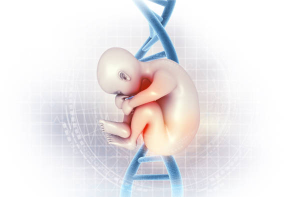 子宫息肉可以做第三代试管婴儿吗？
