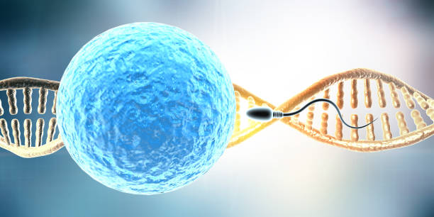 梗阻性无精子症做三代试管婴儿多少钱？