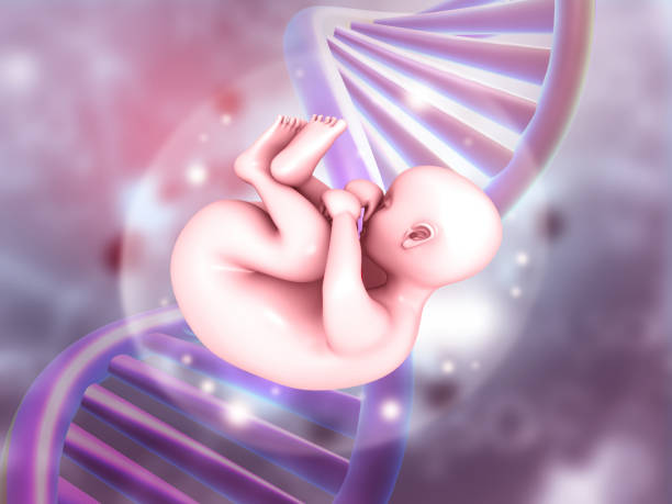 子宫腺肌症可以去做泰国试管婴儿吗？