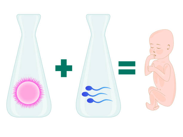 子宫偏小需要做试管婴儿吗？