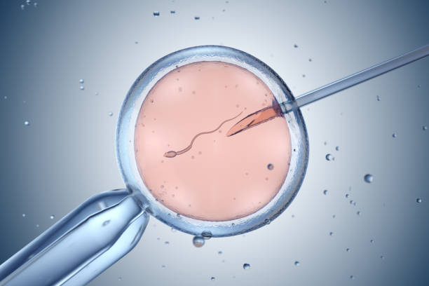 子宫腺肌病 做试管婴儿价格是多少？
