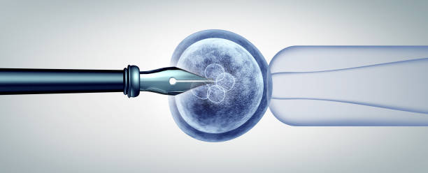 梗阻性无精子症做试管婴儿价格是多少？