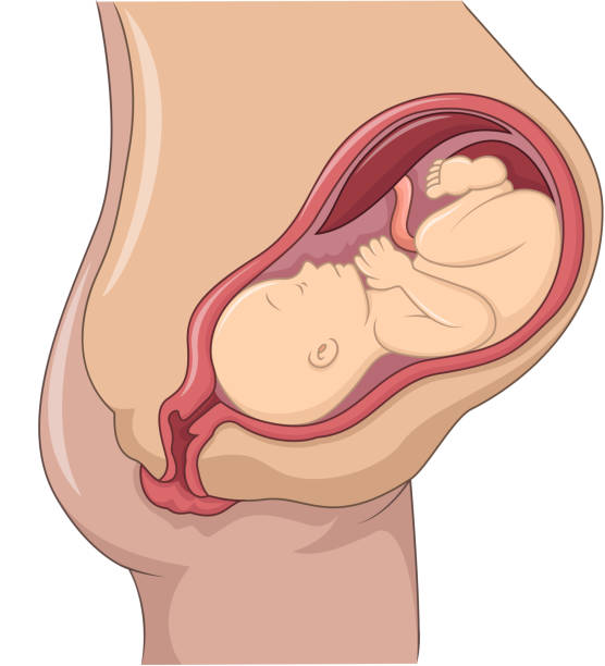 子宫内膜薄可以去做试管婴儿吗？