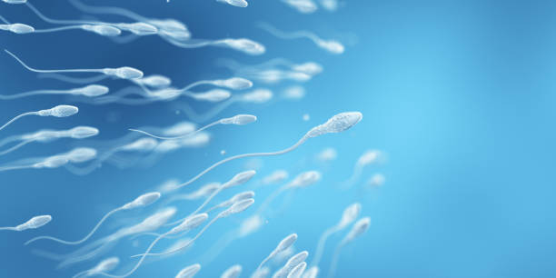 子宫内膜薄在哪里做第三代试管婴儿？