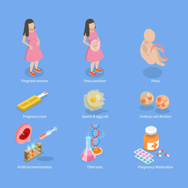 子宫纵隔做第三代试管婴儿价格是多少？