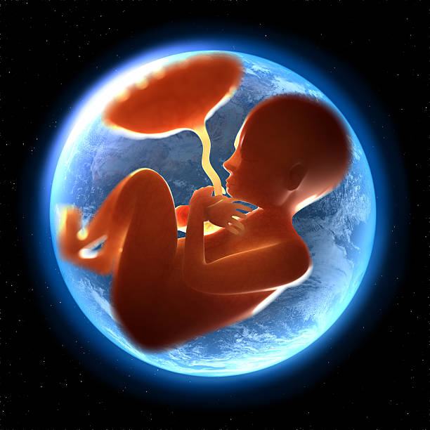 子宫切除需要做泰国试管婴儿吗？