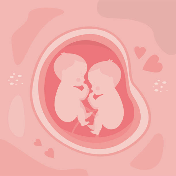 子宫发育不全可以做第三代试管婴儿吗？