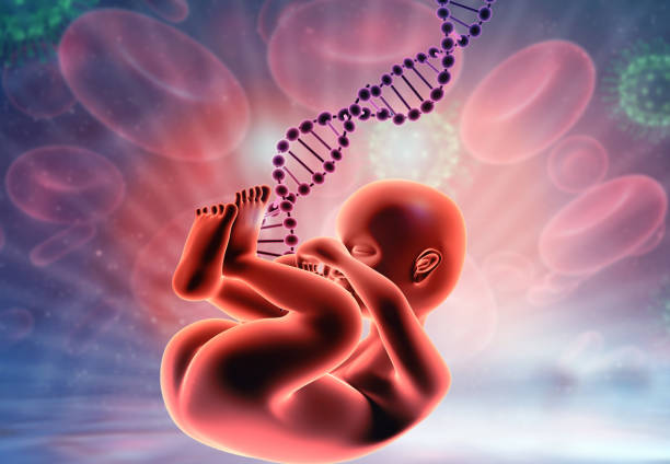 子宫腺肌症可以去做第三代试管婴儿吗？