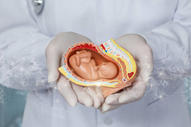 子宫腺肌病 做试管婴儿费用是多少？