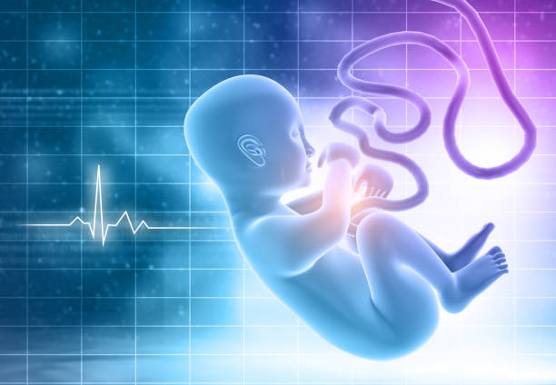 子宫腺肌症做泰国试管婴儿流程是什么样的？