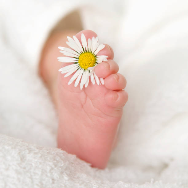 子宫腺肌病 做泰国试管婴儿费用是多少？
