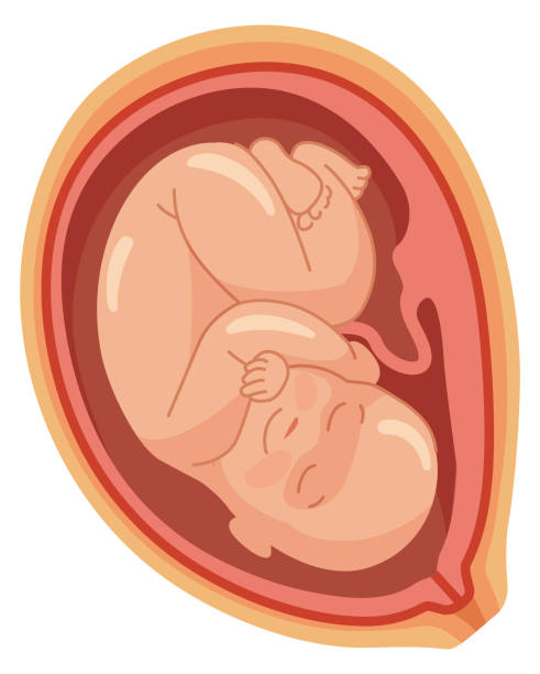 子宫腺肌症能做第三代试管吗？