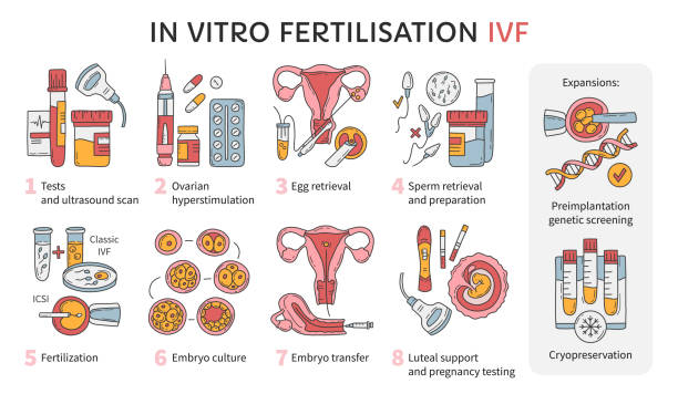 子宫腺肌症做泰国试管婴儿价格是多少？
