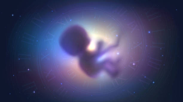 无精子症做第三代试管婴儿流程是什么样的？