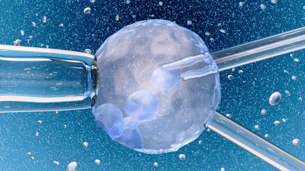 双角子宫做第三代试管婴儿价格是多少？