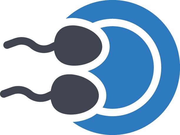 多囊肾做三代试管流程是什么样的？