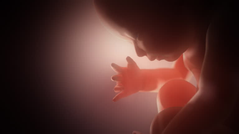 子宫内膜异位症做试管婴儿流程是什么样的？