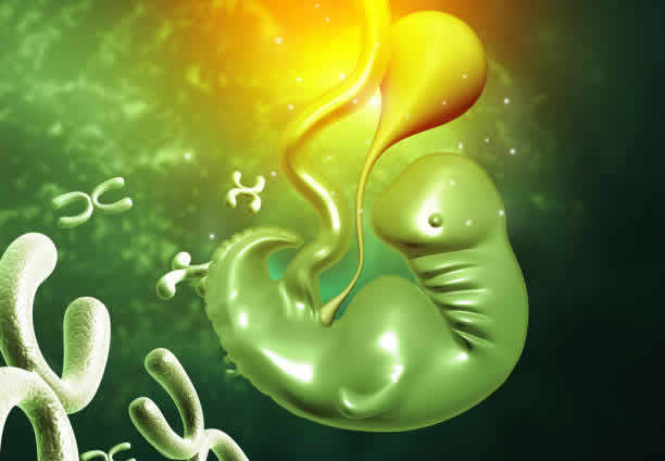 反复自然流产，即连续发生两次或两次以上的自然流产，对于患者和家属来说，无疑是一个沉重的打击。在寻求治疗的过程中，试管婴儿技术成为了许多家庭的选择。然而，反复自然流产的患者是否适合做试管婴儿，这个问题引起了广泛的关注。本文将从反复自然流产的原因、试管婴儿技术的原理以及两者之间的关系等方面进行探讨。