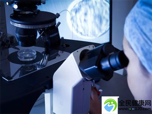 染色体超标能做试管吗吗