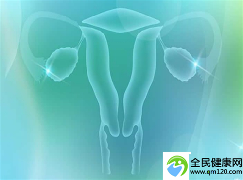 泰国的三代试管多少钱啊图片