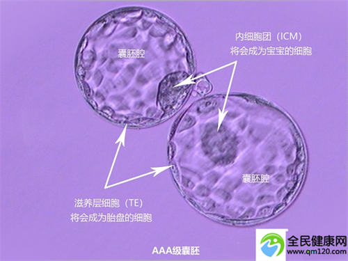 广州哪里做三代试管好点