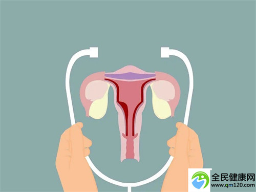 深圳福贝国际三代试管婴儿费用