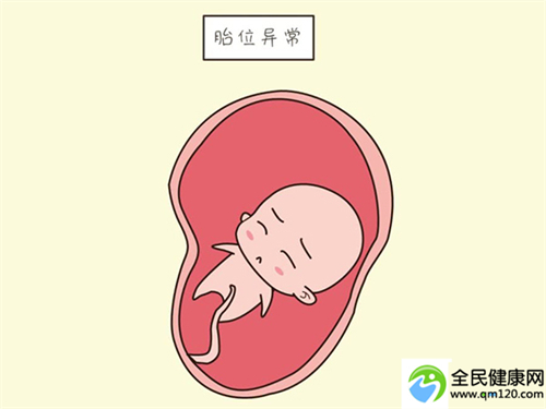 广州试管婴儿三代**