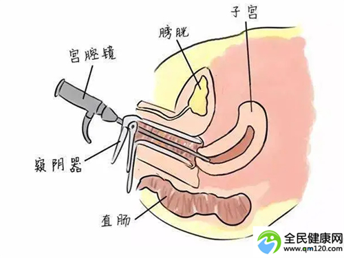 广州三代试管婴儿机构咨询