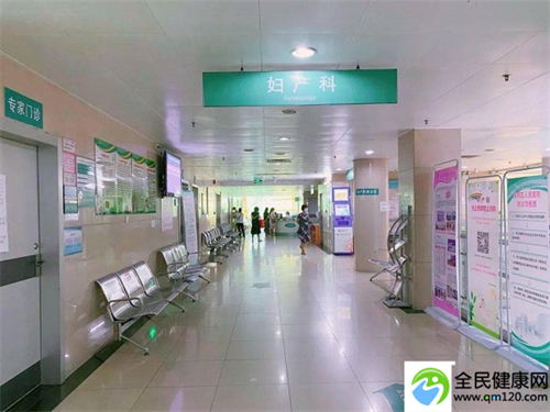 女人单身可以做试管婴儿吗