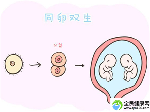 成都三代试管**（成都第三代试管名单公布）