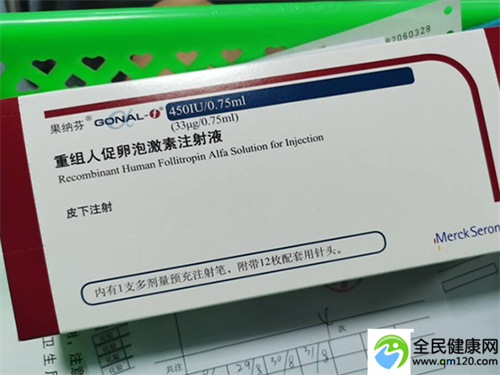 泰国第三代试管第三天胚胎